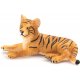 Mojo Tiger unge, liggende