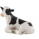Mojo Holstein Kalv, liggende
