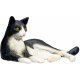 Mojo Kat, sort/Hvid