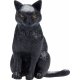 Mojo Kat, Siddende/Sort
